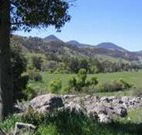 Woolshed Hill Estate - Accommodation Whitsundays