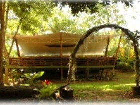 Cedar Park Rainforest Resort - Accommodation Whitsundays 2