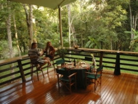 Cedar Park Rainforest Resort - Accommodation Whitsundays 3