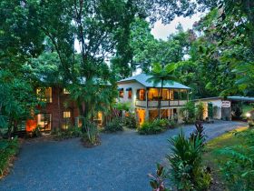 Red Mill House In Daintree - Accommodation Whitsundays 0