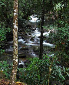 Daintree Secrets Waterfall Sanctuary - Accommodation Whitsundays 1