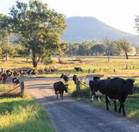 Tommerups Dairy Farmstay - Accommodation Whitsundays