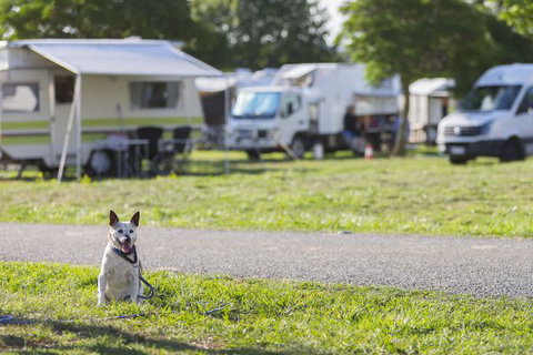 Exhibition Park In Canberra Camping Facilities - Accommodation Whitsundays 2