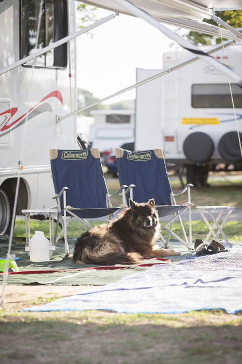 Exhibition Park In Canberra Camping Facilities - Accommodation Whitsundays 3