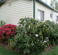 Jenolan Caravan Park - Accommodation Whitsundays