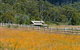 Pender Lea Alpine Guest Accommodation - thumb 1