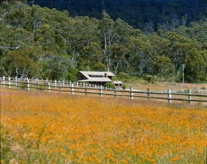 Pender Lea Alpine Guest Accommodation - Accommodation Whitsundays 0