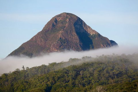 Blackwattle Farm Bed And Breakfast And Farm Stay - Accommodation Whitsundays 9