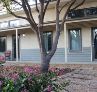 The Grape and Olive in Willunga
