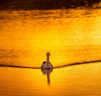 River Shack Rentals - Living the Dream - Accommodation Whitsundays