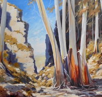 Gallery Blackheath - Accommodation Whitsundays
