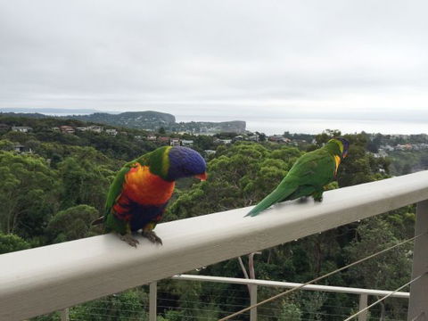 Avalon Horizons - Accommodation Whitsundays 8