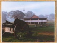 Megalong Valley Farm - Accommodation Whitsundays 0