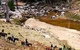 Megalong Valley Farm - thumb 3