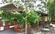 Megalong Valley Farm - thumb 4