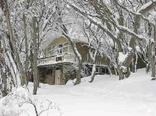 Amber Lodge - Accommodation Whitsundays