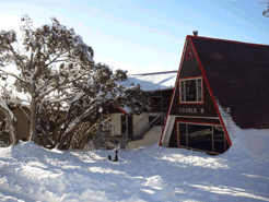 Double B Ski Lodge - Accommodation Whitsundays