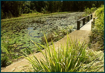 Aba Abode - Accommodation Whitsundays 3