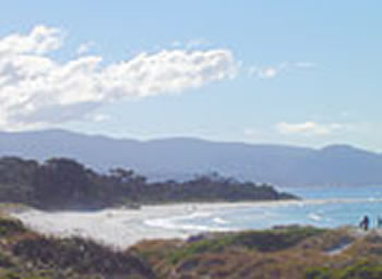 Bicheno On The Beach - Accommodation Whitsundays 5
