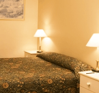 Best Western Abel Tasman Airport Motor Inn - Accommodation Whitsundays