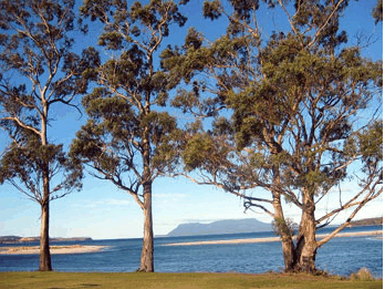 Island View Motel - Accommodation Whitsundays 3