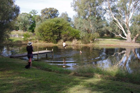 Baranduda Homestead B&B Cottages - Accommodation Whitsundays 7