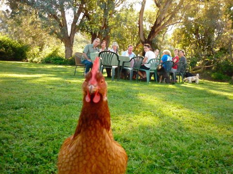 Baranduda Homestead B&B Cottages - Accommodation Whitsundays 9