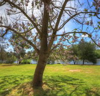 Breakaway Twin Rivers Caravan Park - Accommodation Whitsundays