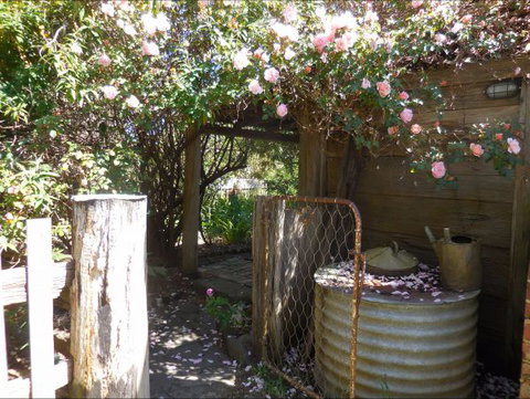 Bunjil Farm - Accommodation Whitsundays 7