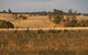 Bunjil Farm - thumb 8