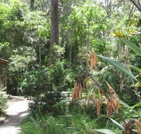 Dunns Creek Downs Nature Stay - Accommodation Whitsundays