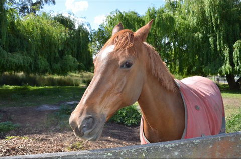 Hawthorn Lodge - Accommodation Whitsundays 2