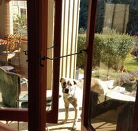 Mara Ponds Branxholm - Accommodation Whitsundays