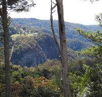 Mt Tamborine Motel - Accommodation Whitsundays