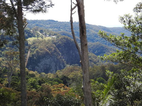Mt Tamborine Motel - Accommodation Whitsundays 0