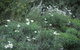 Northam Caravan Park - thumb 2