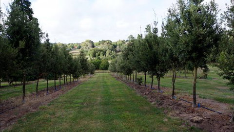 Oakhill Cottage - Accommodation Whitsundays 6