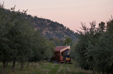 Shacky In The Olive Grove - Accommodation Whitsundays 0