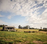 Wines for Joanie Cottage - Accommodation Whitsundays