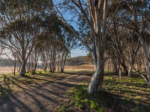 Bullocks Hill Campground - Accommodation Whitsundays 4