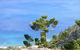Crayfish Beach, Hook Island - thumb 0
