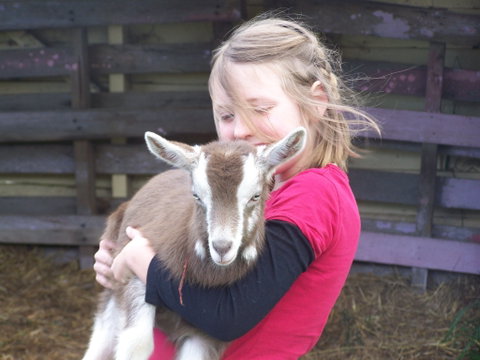 Eden Orchard And Farmstay - Accommodation Whitsundays 3