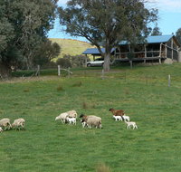 Gaddleen Grove Cottages - Accommodation Whitsundays