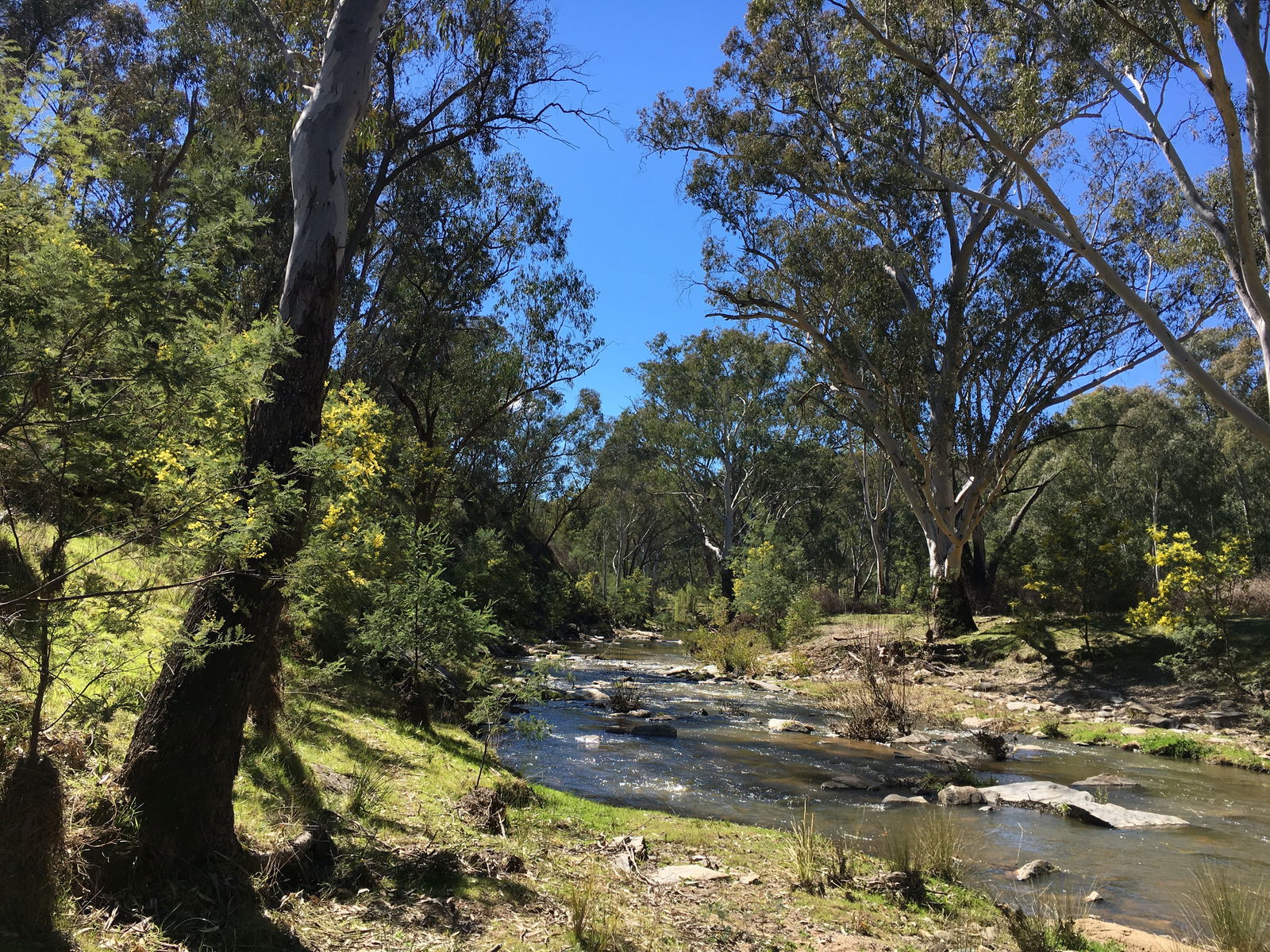 Mount Adrah NSW Accommodation Whitsundays