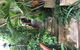 Whitsundays BnB Retreat - thumb 1