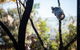 Wildlife Retreat At Taronga - thumb 3