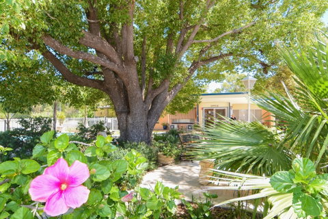Balranald Sturt Motel - Accommodation Whitsundays 0