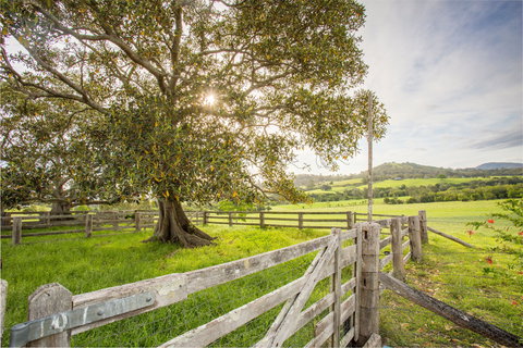 Bo-Warra Farmstay - Accommodation Whitsundays 2
