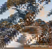 Coonawarra Bubble Tents - Accommodation Whitsundays