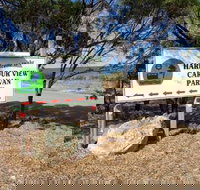 Cowell Harbor View Caravan Park - Accommodation Whitsundays